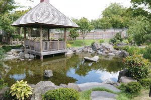 福岡フレンドシップガーデンの清掃